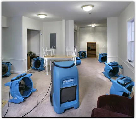 Water Mitigation Services in Meridian, MI