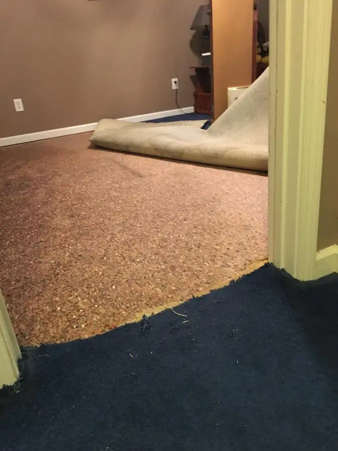 Carpet pad removal revealing water damage during Water Mitigation Services in Meridian