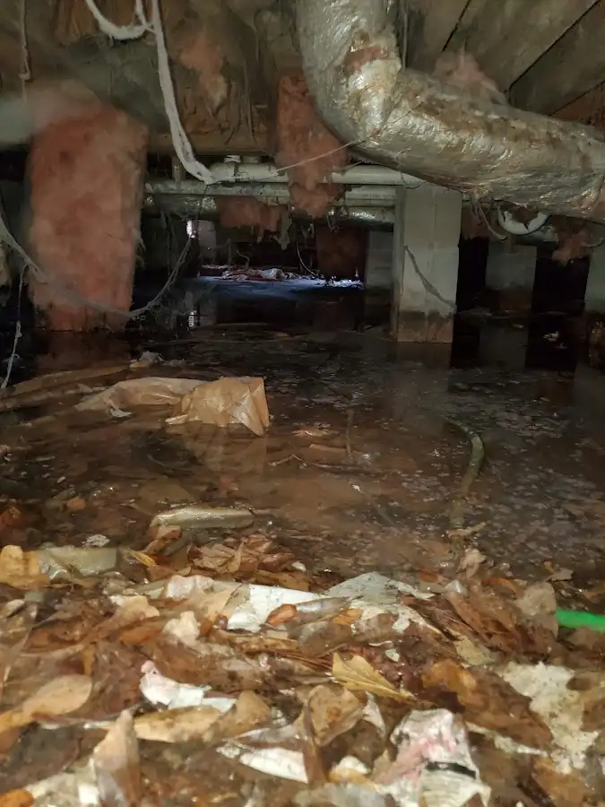 Crawl space flood assessment for Leak Detection & Repair in Meridian