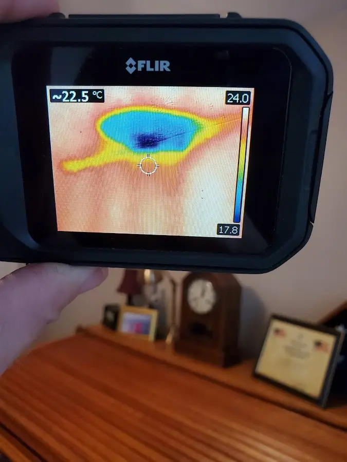 Thermal imaging inspection for water damage in Meridian