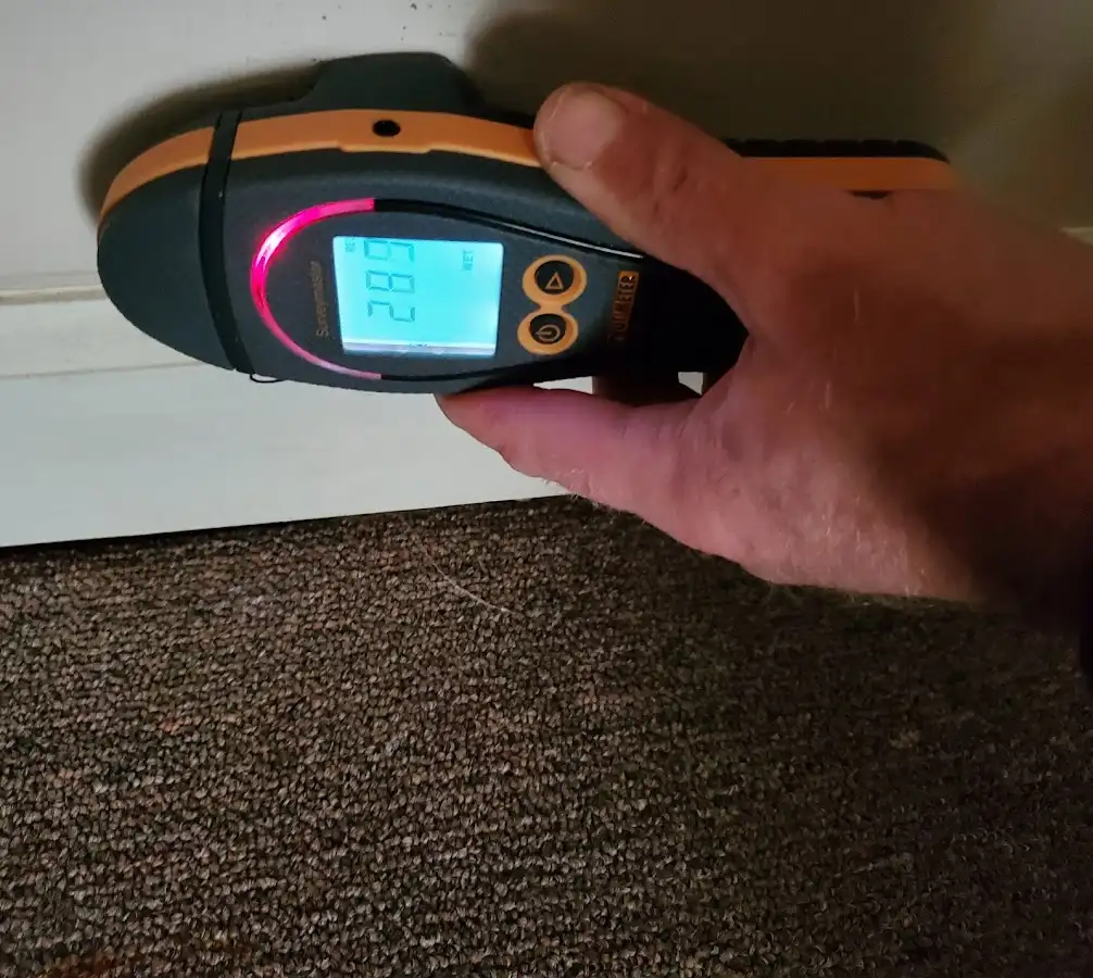 Moisture detection at baseboard during Burst Pipe Cleanup in Meridian